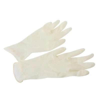 Disposable Protective Examination Clear Gloves Vinyl Gloves
