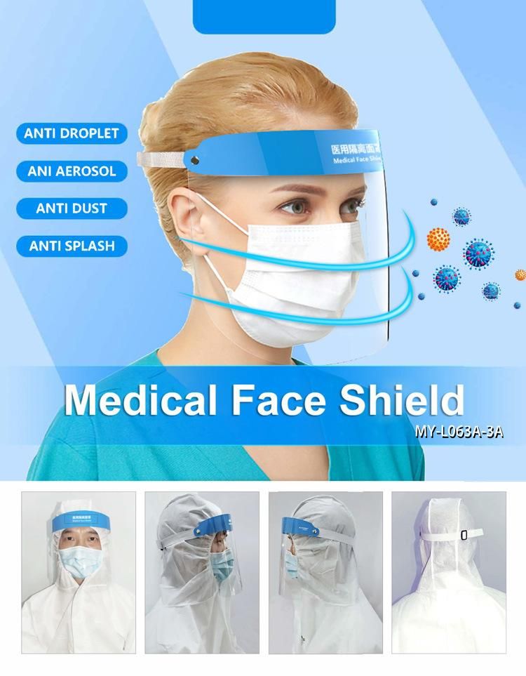 Anti-Fog Medical Full Face Shield Protection Face Mask with Sponge