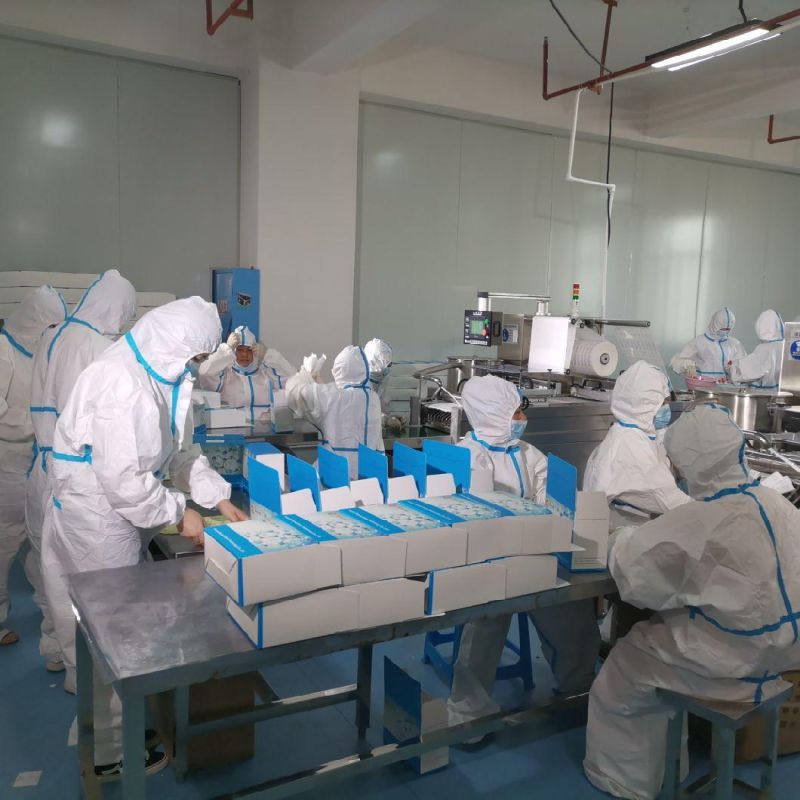 Disposable Sterile Sample Collection Cotton Swab