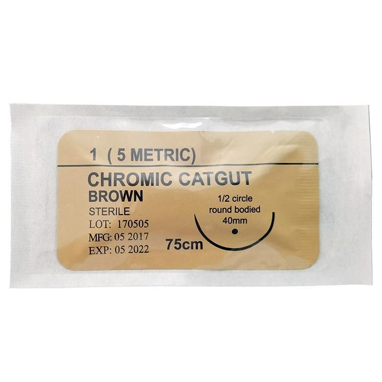Medical Absorbable Non-Absorbable Surgical Sutures with Needle Polypropylene Sterile PGA Pdo Silk Nylon Catgut