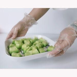 Clear Powdered Disposable Vinyl Exam Gloves Vinyl Hand Gloves PVC Disposable Gloves