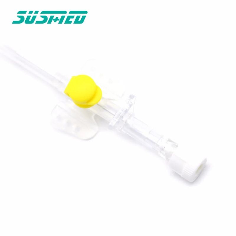 Medical Different Sizes and Color IV Cannula with Injection Port