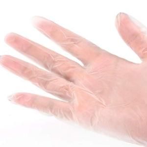 Powdered and Powderfree Vinyl PVC Plastic Transparent Disposable Gloves