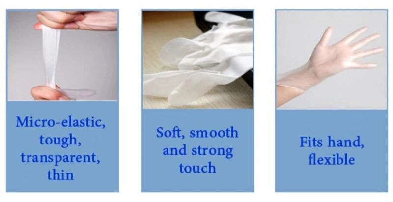 China High Quality Disposable Protective Safety Powder Free Transparent PVC Vinly Glove