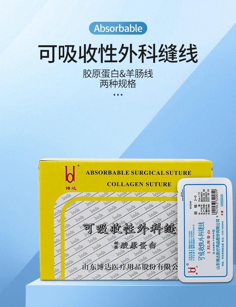 Medical Sterile Absorbable Collagen Suture Thread Acupoint Embedding for Weight Loss Chromium Catgut Beauty Thread