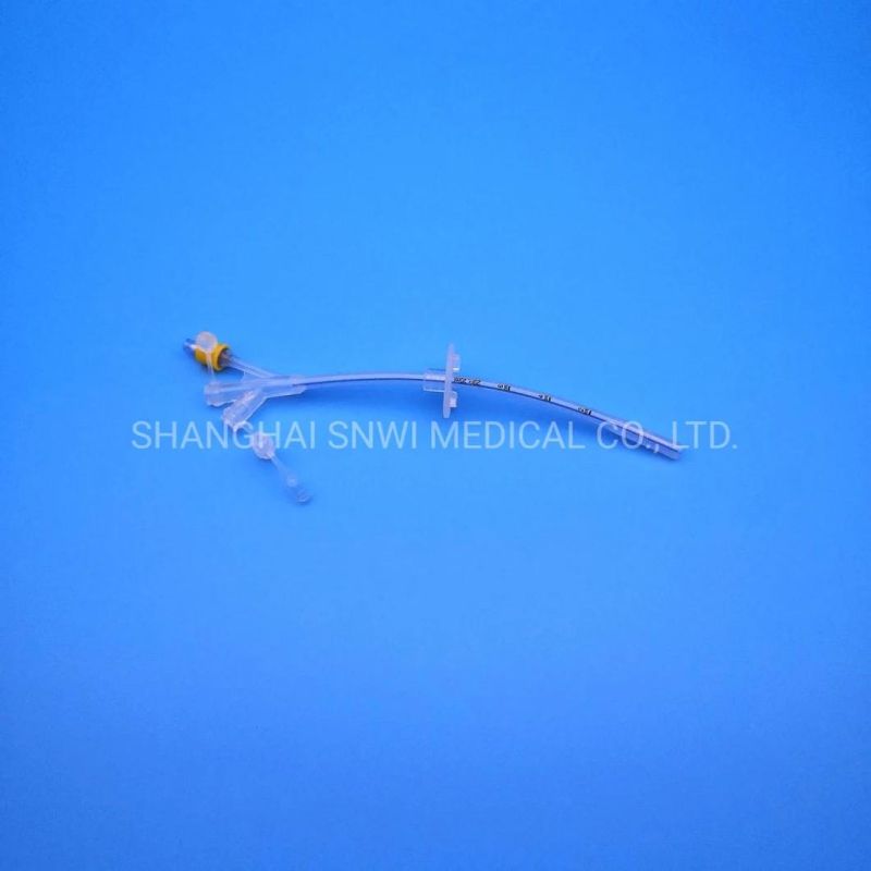 Disposable Medical Supplies 2 Way Silicone Foley Catheter Foley Balloon Catheter with Balloon for Hospital Usage