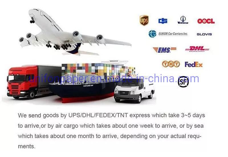 High Glossy Ultrasound Thermal Printing Paper Sony Upp-110hg High Brightness
