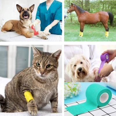 12 Pieces Vet Wrap Pet Self Adhesive Bandage Cohesive Wrap Bandage in 12 Styles for Person Wrist, Knee and Ankle Sprains