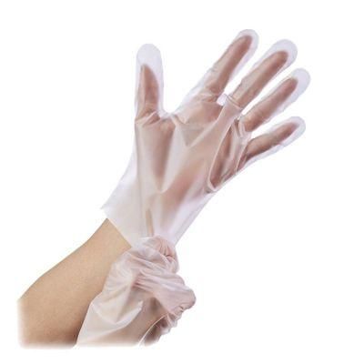 China Manufacturer New Product--Plastic Transparent PE Gloves