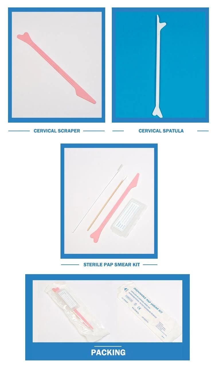 Disposable Safe Gynecological Single Use Sterile Individually Packaged Cervical Brush