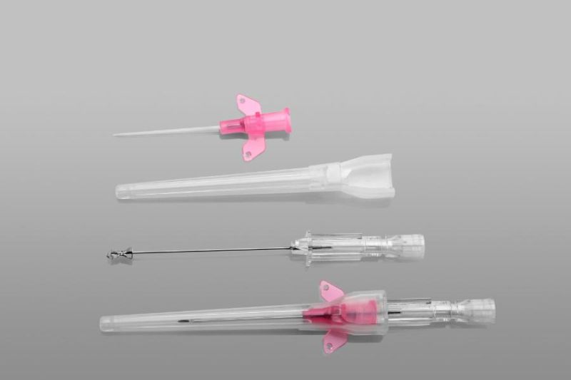 Disposable Safety Butterfly I. V Cannula Medical IV Cannula Catheter