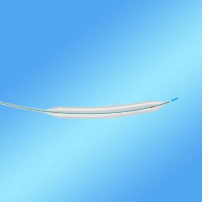 Super-Lubricity Hydrophilic Coating Traceability Ptca Balloon Catheter