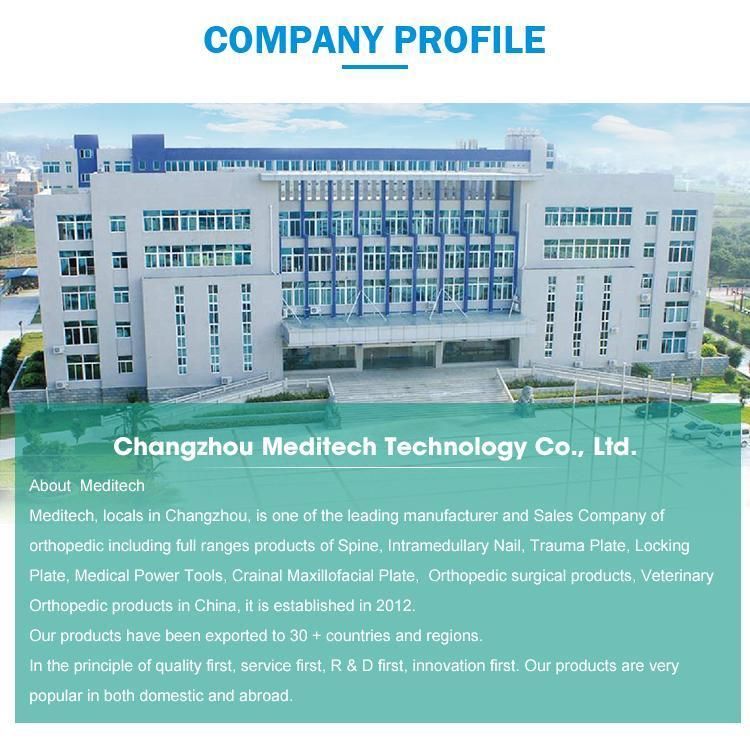 Factory Price Orthopedic Surgical Implants Occipital Plate-II for Posterior Cervical Fixation System Spinal Implant