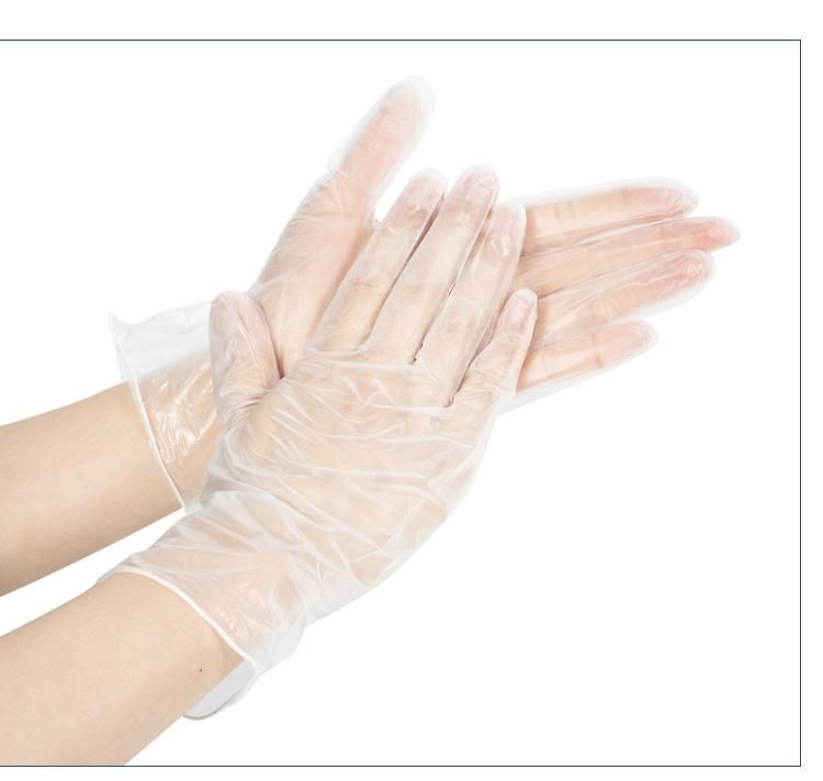 Disposable Blue Vinyl Gloves Power Free Medical Gloves Household Gloves