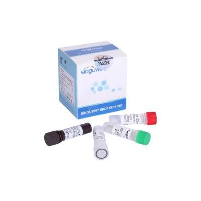 New Fluorescent Rt-PCR Method Nucleic Acid Test Kit for Lab Equipment