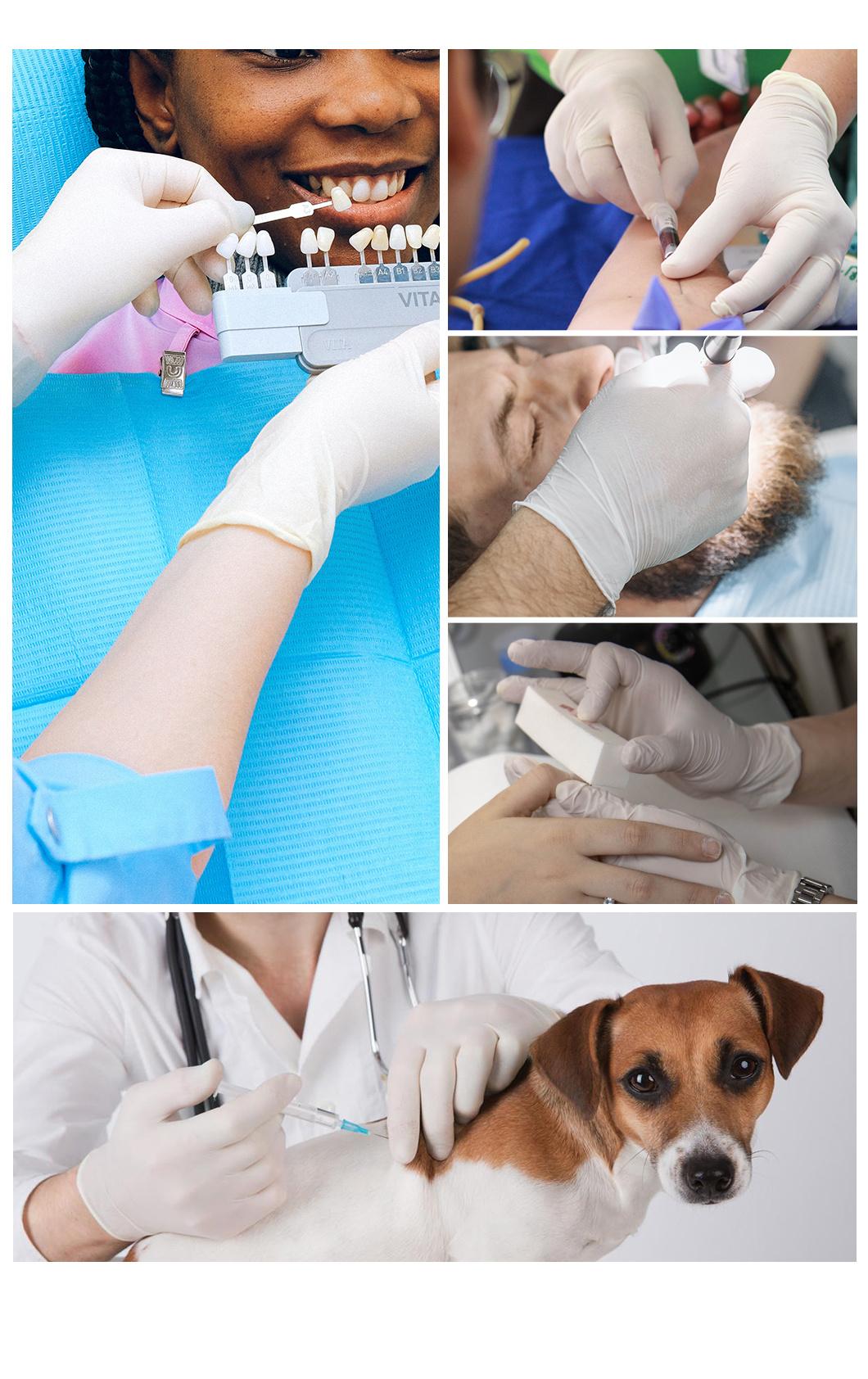 Disposable Latex Protective Gloves Safety Inspection Rubber Gloves Dealer