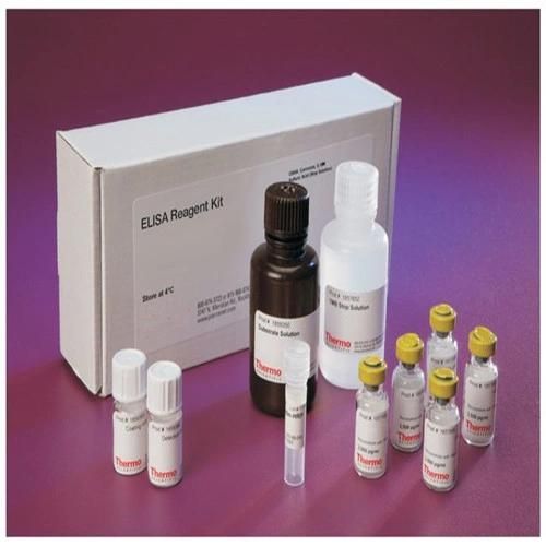 Ck MB Elisa Kits/Elisa Test Kits/Research Elisa Test Kits