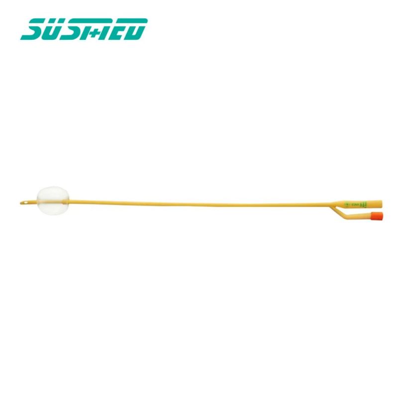 Disposable Silicone Foley Catheter Two-Way/Three-Way Sterile Urethral Balloon Foley Catheter