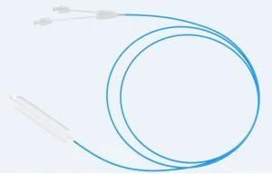 Cre Balloon Dilatation Catheter with High Quality