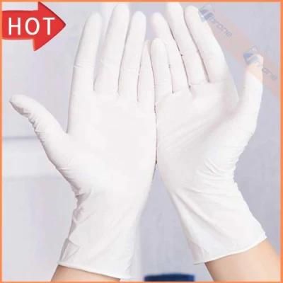 Latex Examination Gloves