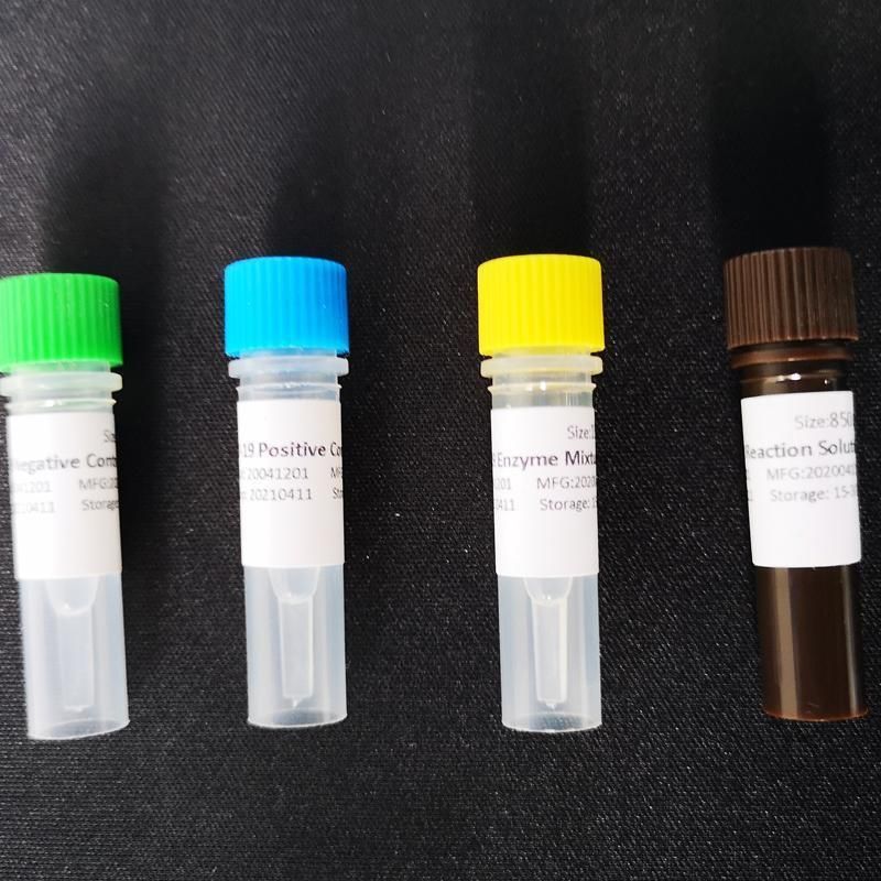 Pre-Packed Kit for Detection of Triple Nucleic Acid for Pertussis, Parapertussis,