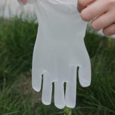100 Pieces of Transparent Vinyl Gloves Latex-Free Gloves for Laboratory Work XL Suitable for Palm Width 100-115mm