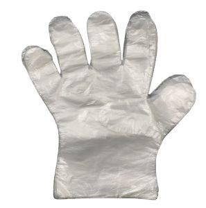 Disposable PE Food Glove