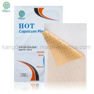 China Factory Medical Adhesive Capsicum Plaster /Pain Relief Patch/Pain Killer, Medical Patch for Wholesaler