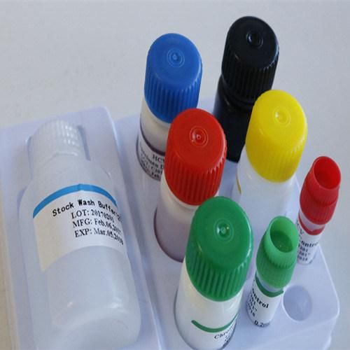 Bowl Cancer Test Kit/Cea Test Kits/Prostate Cancer Test Kit