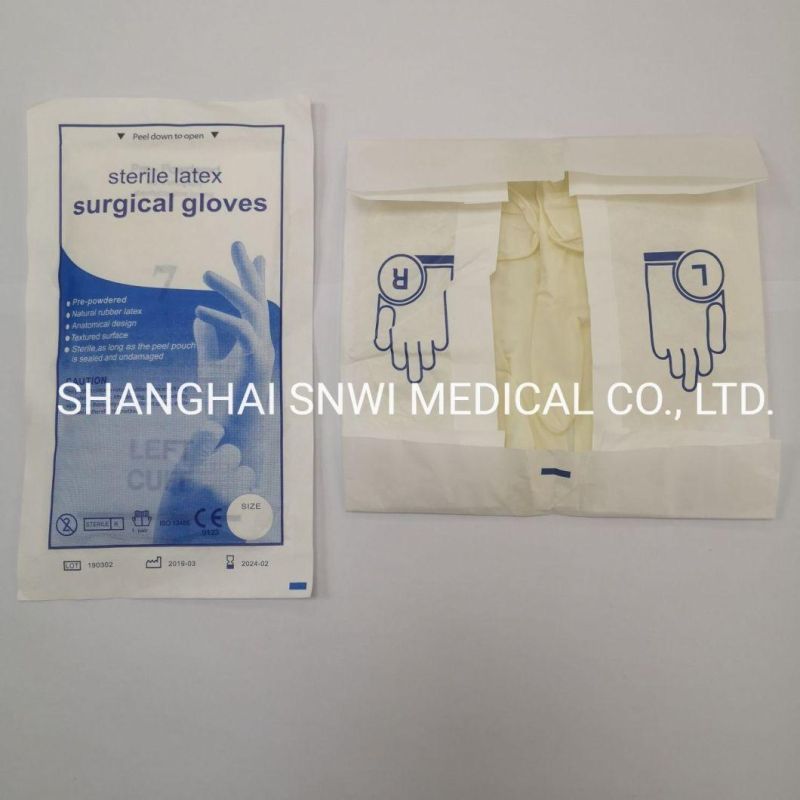 Disposable Hand Gloves Powder Free Nitrile Gloves Used in Hospital