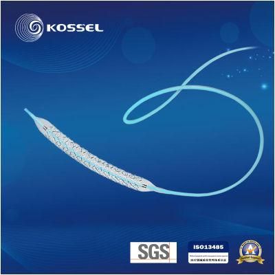 Balloon Angioplasty Ptca Balloon Dilatation Catheter with CE ISO Certificate