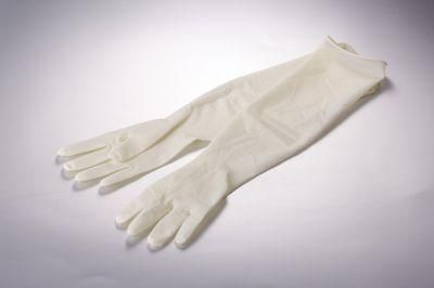 Powder-Free Surgical Latex Exam Gloves