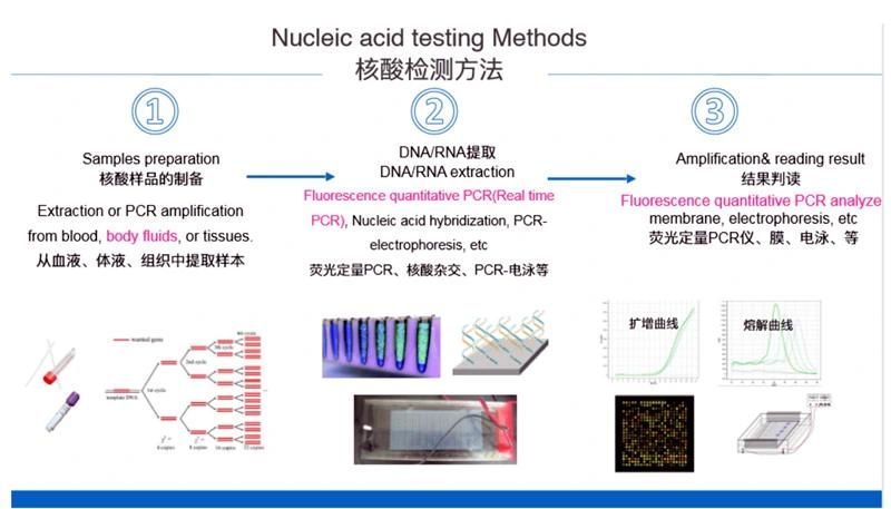 PCR Test Machine Real Time Rapid Real Time PCR Test Real Time PCR Instrument