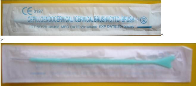 Manufacturer Gyno Brush Cyto Brush Gynecological Cervical Brush Sterile Disposable Hospital or Clinic Use