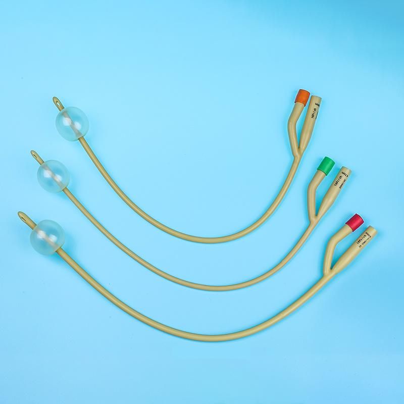 CE ISO Medical Silicone Catheter Foley