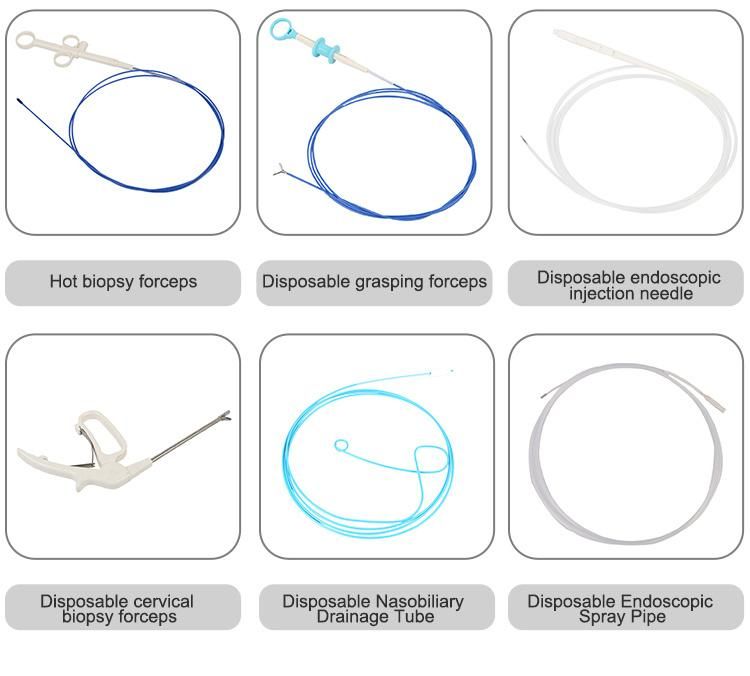 Disposable Rotatable Biopsy Forceps Endoscopy Use Oval Jaw Head with or Without The Spike