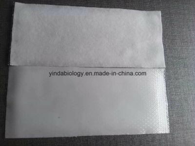 Hot Sale Chinese Traditional Instant Physical Fever Reducing Menthol Patch