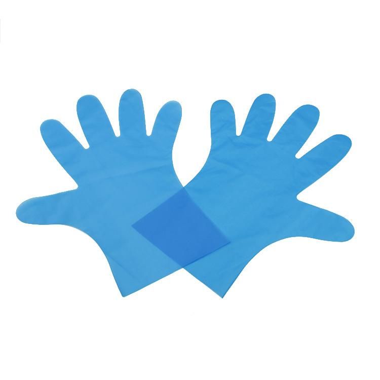 Household Disposable Gloves Food Grade TPE Film Sanitary Gloves Kitchen Gloves