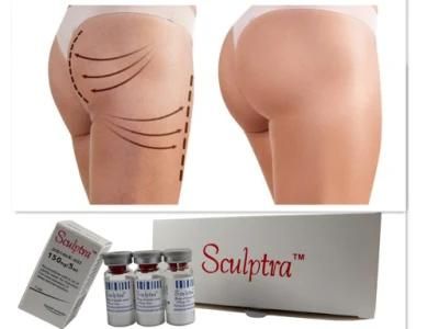 2022 New Products S Culptra Butt/S Culptra Butt Injection Hip Dips Before and After