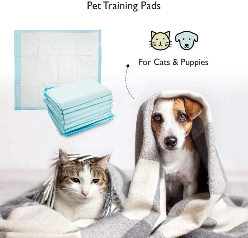 Blue Disposable Waterproof Absorbent Underpad Incontinence Chux Pads for Adults Children Pets