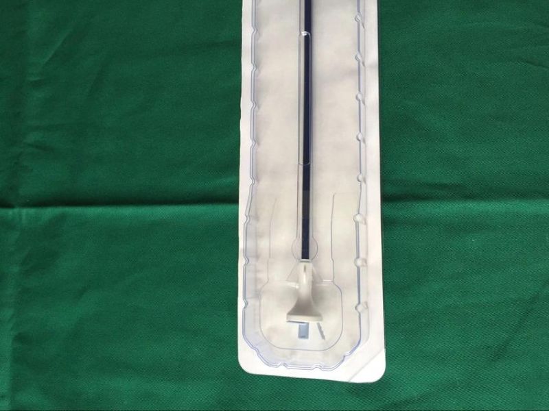 Ureter Smooth Coated Hydrophilic Ureteral Access Sheath