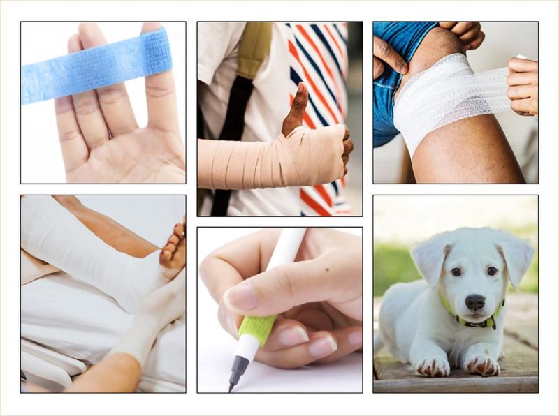 Latex Free China Hospital Rolled Pet Medical Elastic Cohesive Bandage