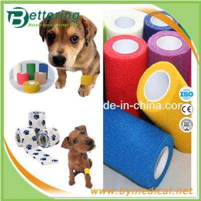 Elastic Non Woven Self Adhesive Bandage Veterinary Bandage Pet Bandage