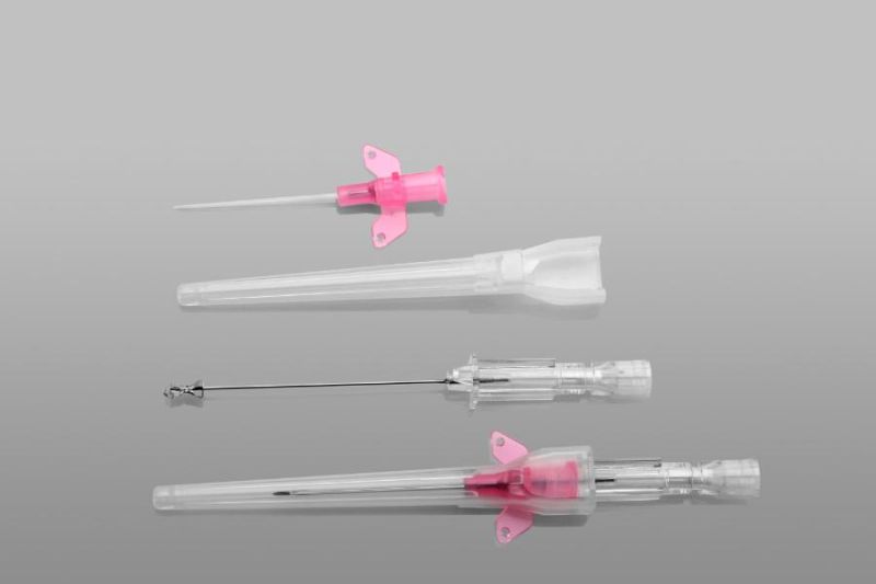 Different Colors of Disposable Medical IV Cannulas