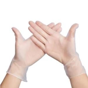 China Factory Supplying Powder Free Disposable PVC Safety Gloves