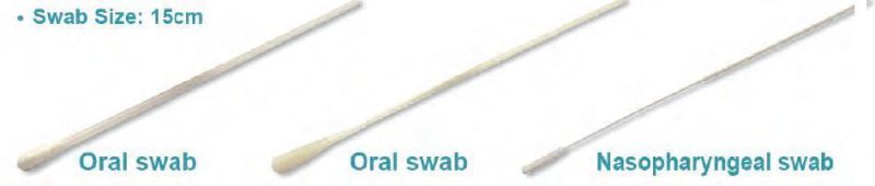 Disposable Medical Product Sampling Swab with Nasal Swab and Throat Swab Applicator Virus Specimen Collection Tube Specimen Collection Swab Breakpoint