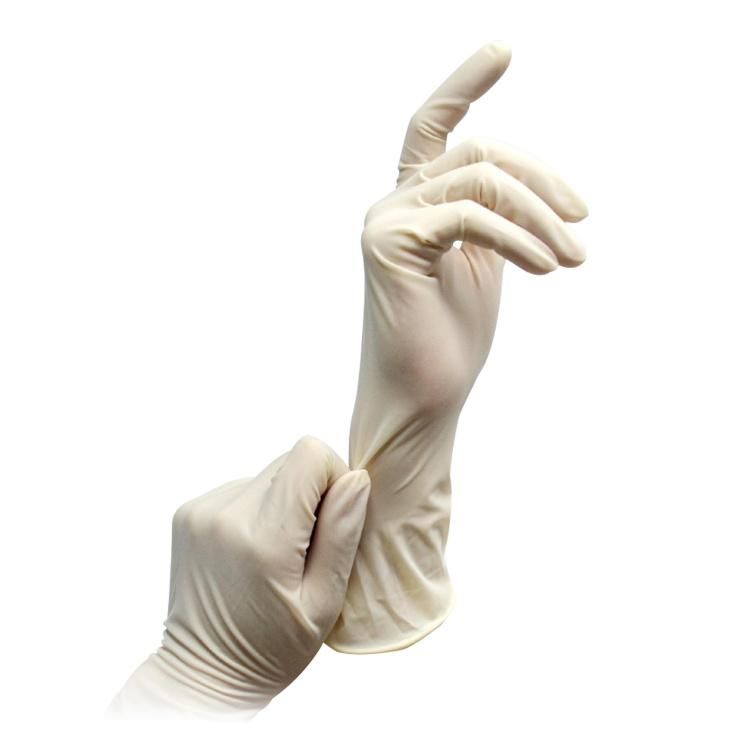 Sterile Latex Surgical Gloves Powdered Disposable for Medical Hospital