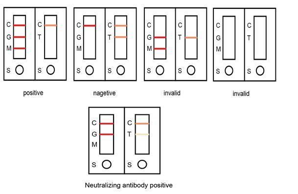 Medical Manufacturer Diagnostic Test Chlamydia Rapid Test