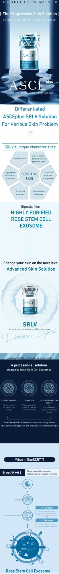 Asce Plus Exosome Dermal Signal Kit Srlv Skin Care Brighten Skin Cell Regeneration Anti-Aging