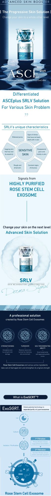 Asce Plus Exosome Dermal Signal Kit Srlv Skin Care Brighten Skin Cell Regeneration Anti-Aging